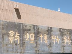 -敦煌市博物馆