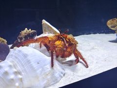 -重庆欢乐海底世界