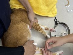 -拜鲁耶动物诊疗中心·宠家动物医院