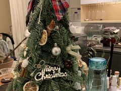 -春树下·树屋花房西餐厅(罍街AS1980店)