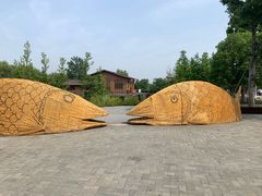 景点-泗洪洪泽湖湿地景区
