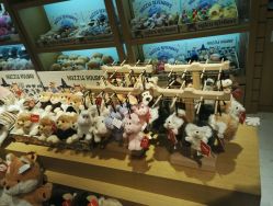 -Nuzzle(静安大悦城店)