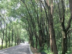 -同里国家湿地公园