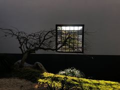 -径山寺