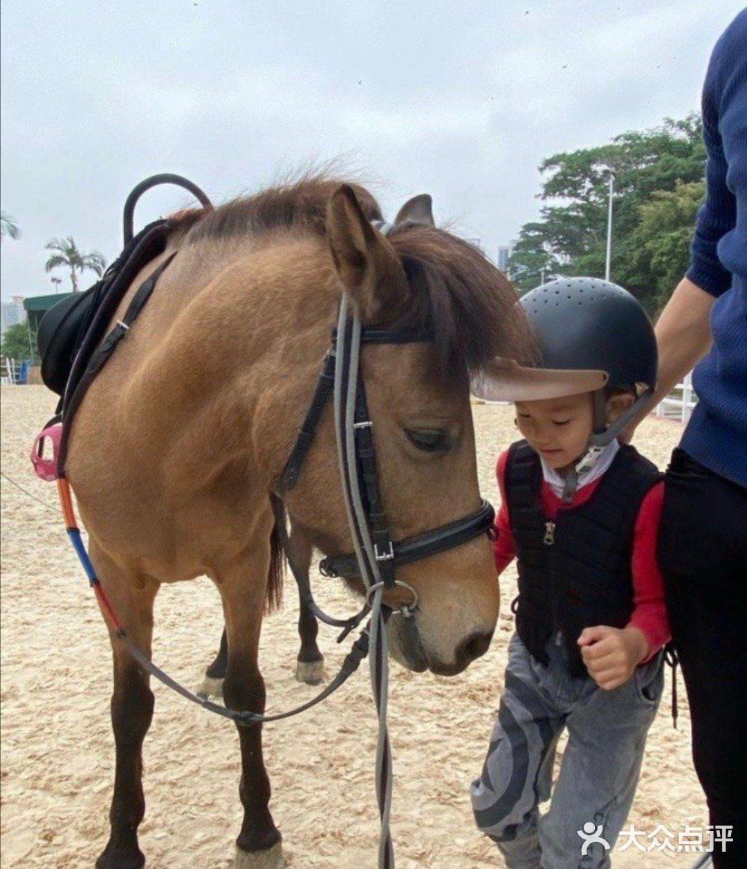 可是今天告诉大家，娃娃也可以培养马术的呢！