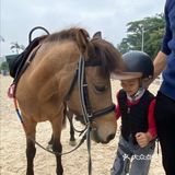 可是今天告诉大家，娃娃也可以培养马术的呢！