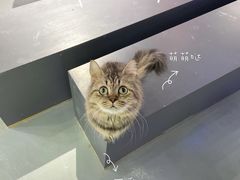 -极木²邸 人与宠物·互动社区