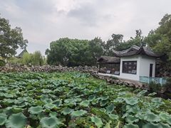 -无锡蠡湖国家湿地公园-蠡园