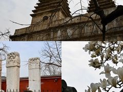 -北京石刻艺术博物馆