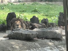 -黔灵山公园