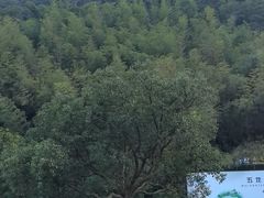 -宁波五龙潭景区