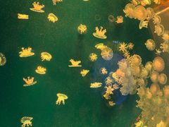 -南昌海洋公园