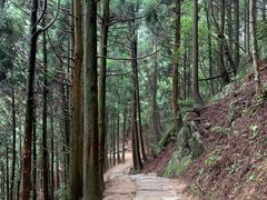 -井冈山风景名胜区-黄洋界