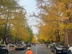 -辽宁大学(崇山校区)