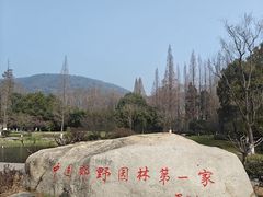 -习家池