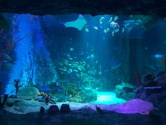 -沈阳海洋探索中心