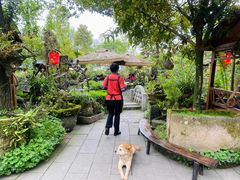 -青城甲(青城山店)