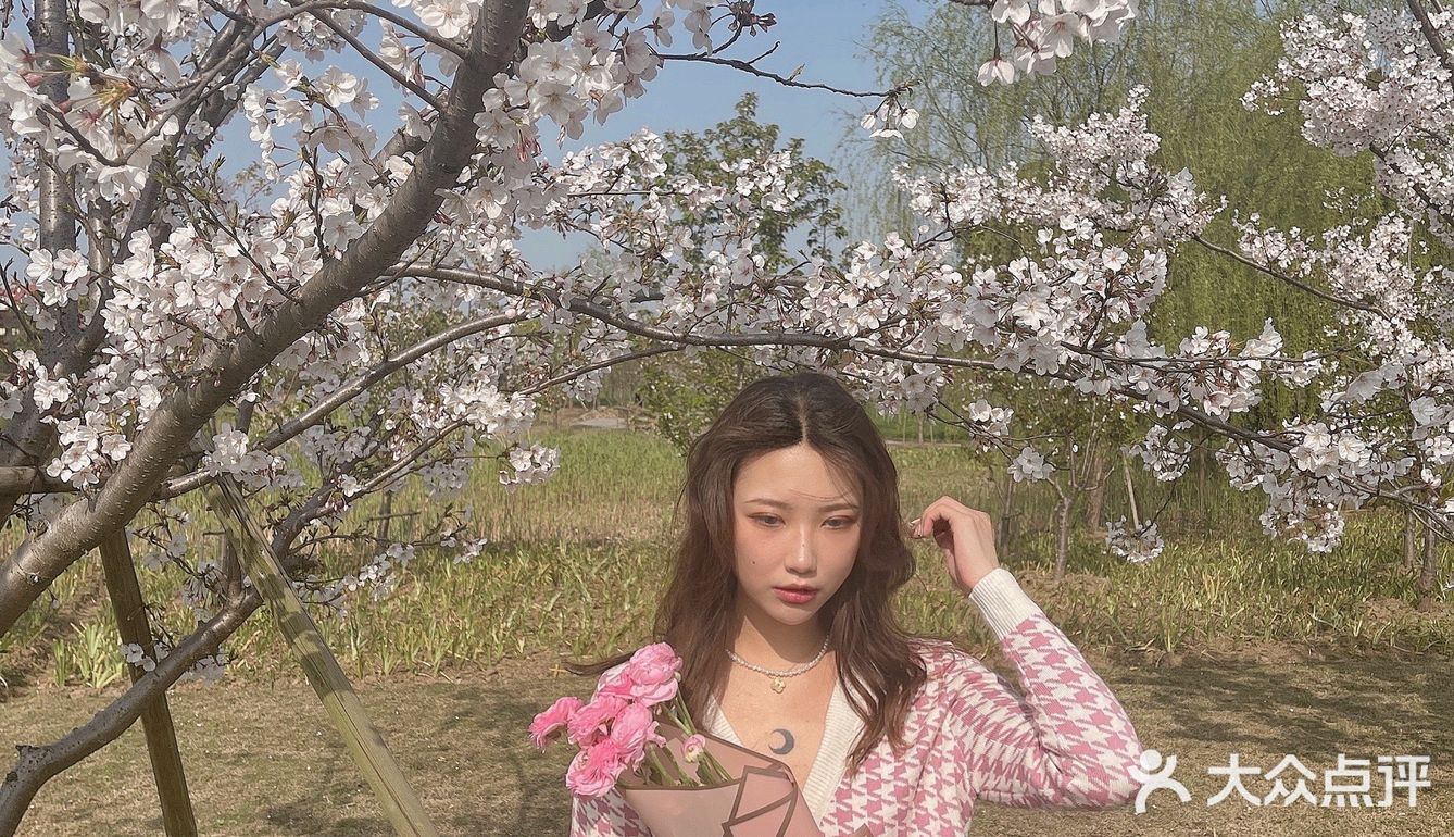 🌸苏州樱花打卡