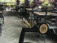 -大冒险家餐厅