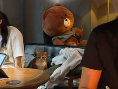 -咖法森林·咖啡  酒吧(天河店)