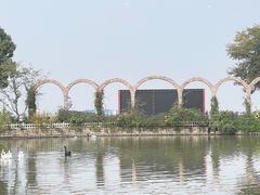 -鹅湖玫瑰文化园