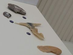 -青岛贝壳博物馆