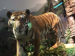 -陕西自然博物馆