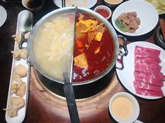 -鼎王麻辣锅(七贤店)