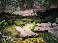 -趵突泉景区