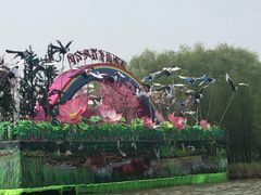 -溱湖国家湿地公园