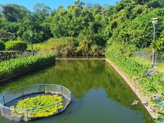 -三亚南山文化旅游区