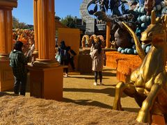 -波塞冬旅游度假区