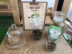 -雪绿茶博物馆