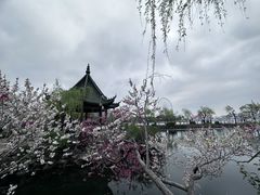 -无锡蠡湖国家湿地公园-蠡园