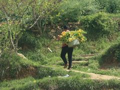 -楠溪江风景名胜区