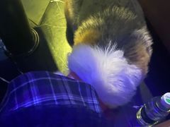 -皇马纯KTV·量贩·聚会(民治店)
