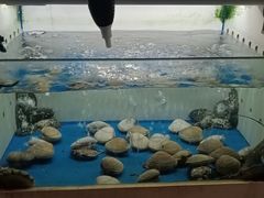 -质烤烤物·活烤海鲜(质烤总店)