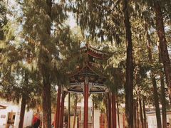 -总统兵马大元帅府