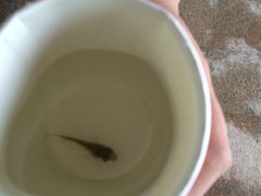 -宁波杭州湾海底温泉