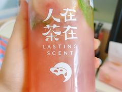 -人在茶在(华南店)