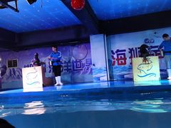 -邯郸海洋世界