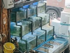 水产区-老东镇啤酒屋海鲜加工·蒸汽海鲜·海鲜烧烤(台东店)