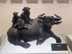 -余姚博物馆