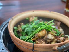 -华仔土鸡店(南洲分店)