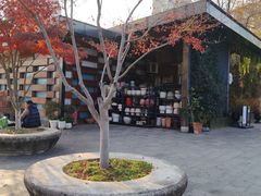 -昆山城市生态森林公园