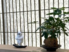 -长风拨筋养身(金虹桥店)