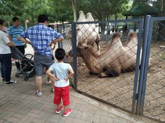 -长白岛森林公园