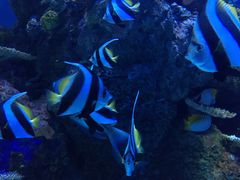 -成都浩海立方海洋公园