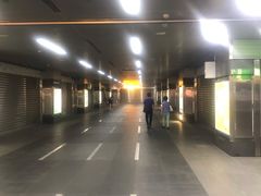 -捷运美丽岛站(The Dome of Light)