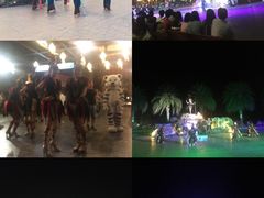 -清迈夜间动物园